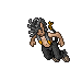 Dark Fegri