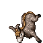 Donkey