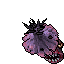 Terrifying Fungus